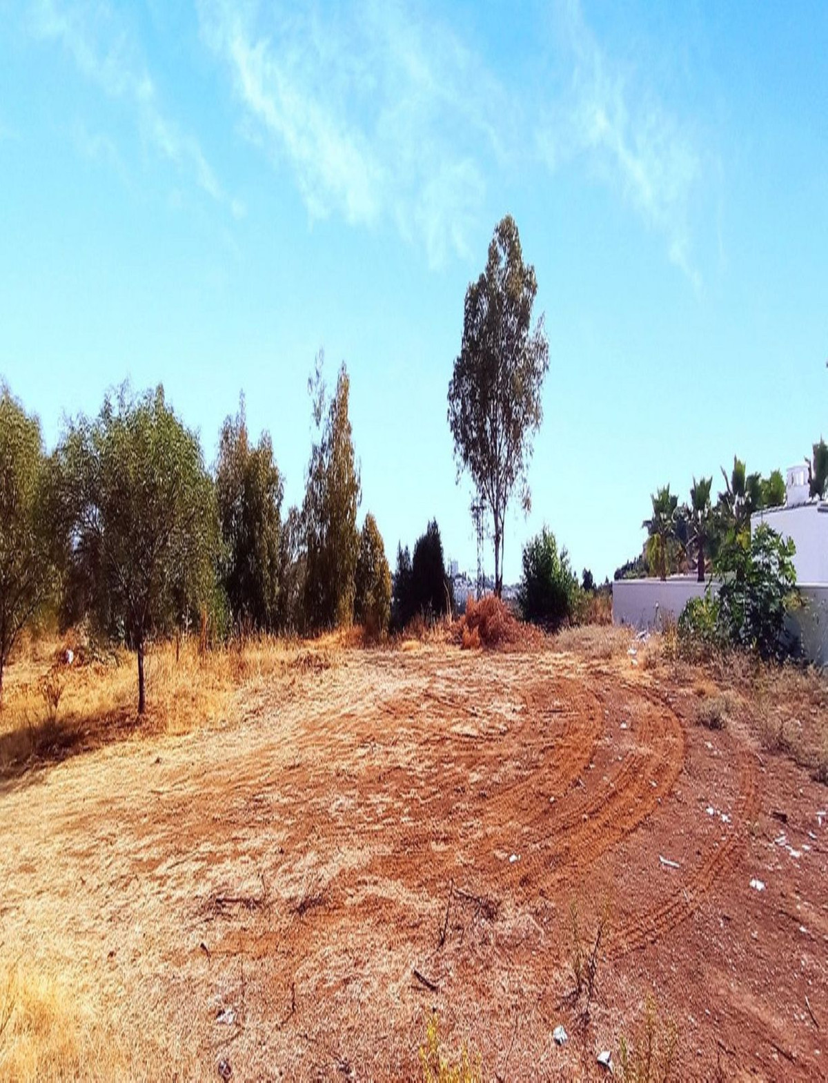 Property main view 2