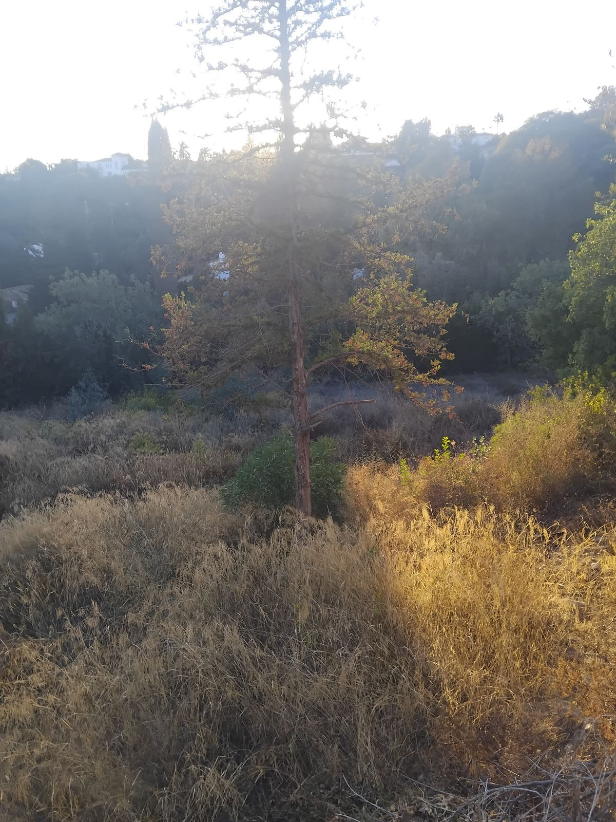 Percelen te koop in La Quinta | 0 slaapkamers H5516014