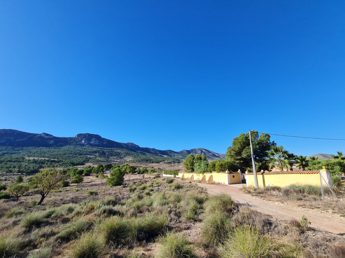 Property main view 3