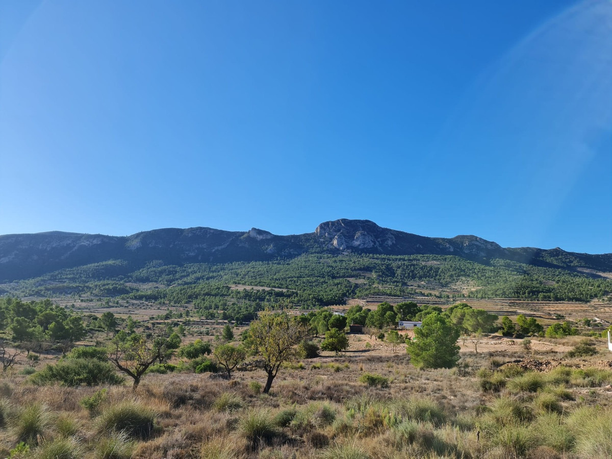 Property main view 6