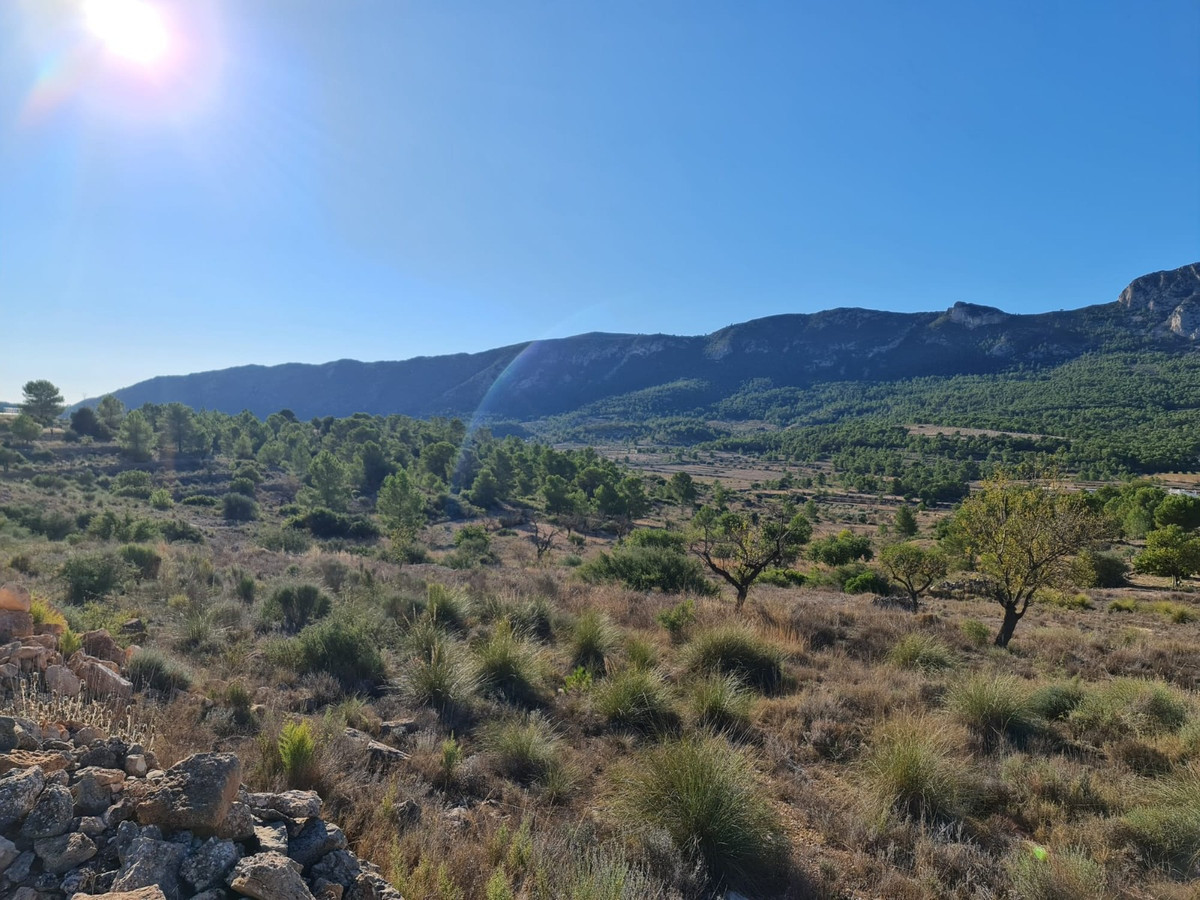 Property main view 9