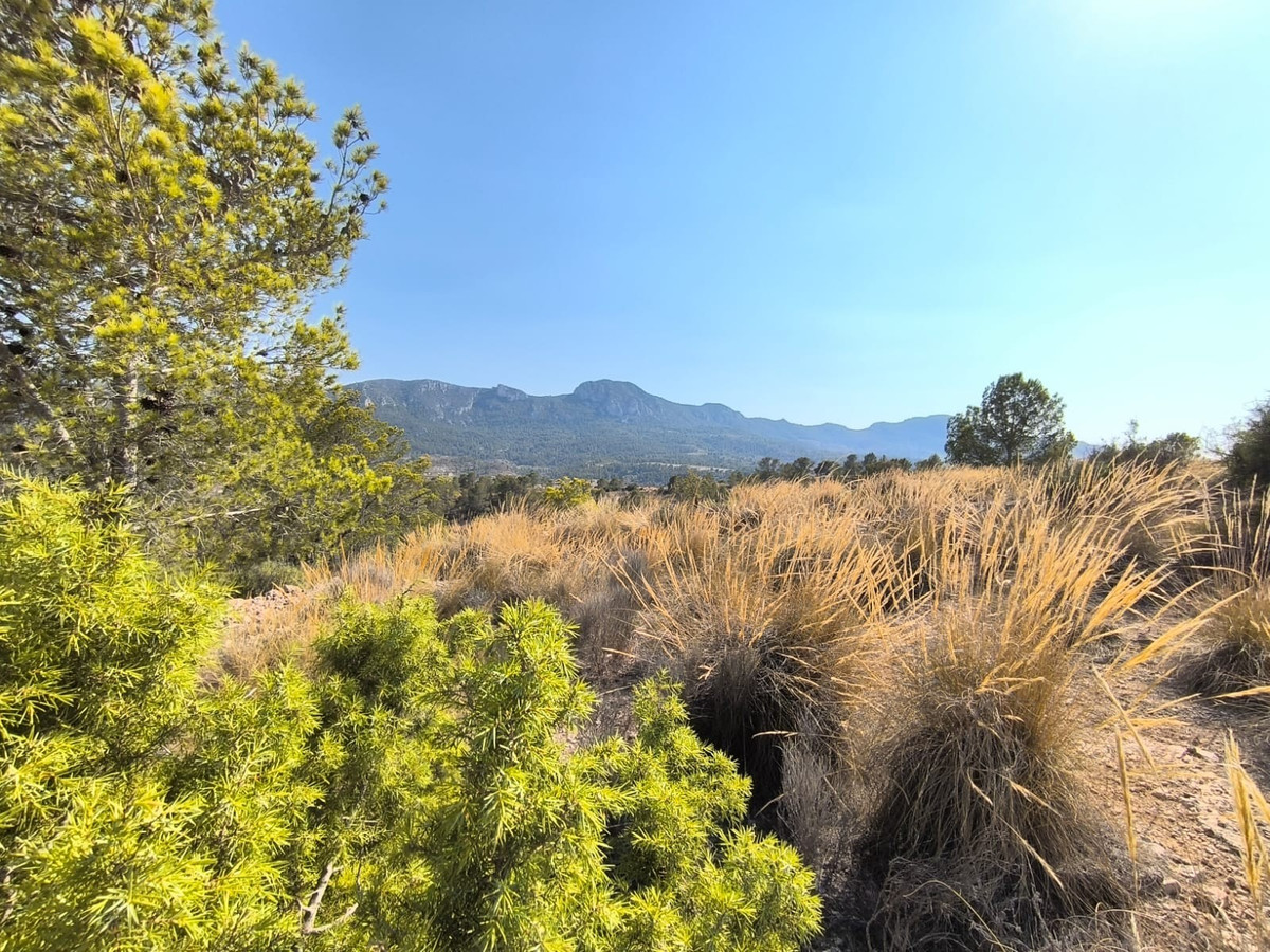 Property main view 3