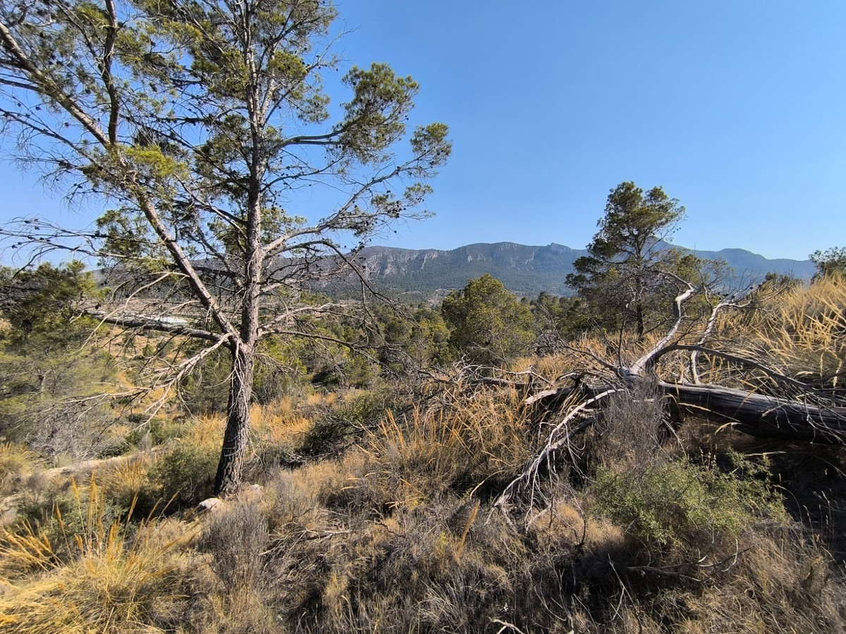 Property main view 5