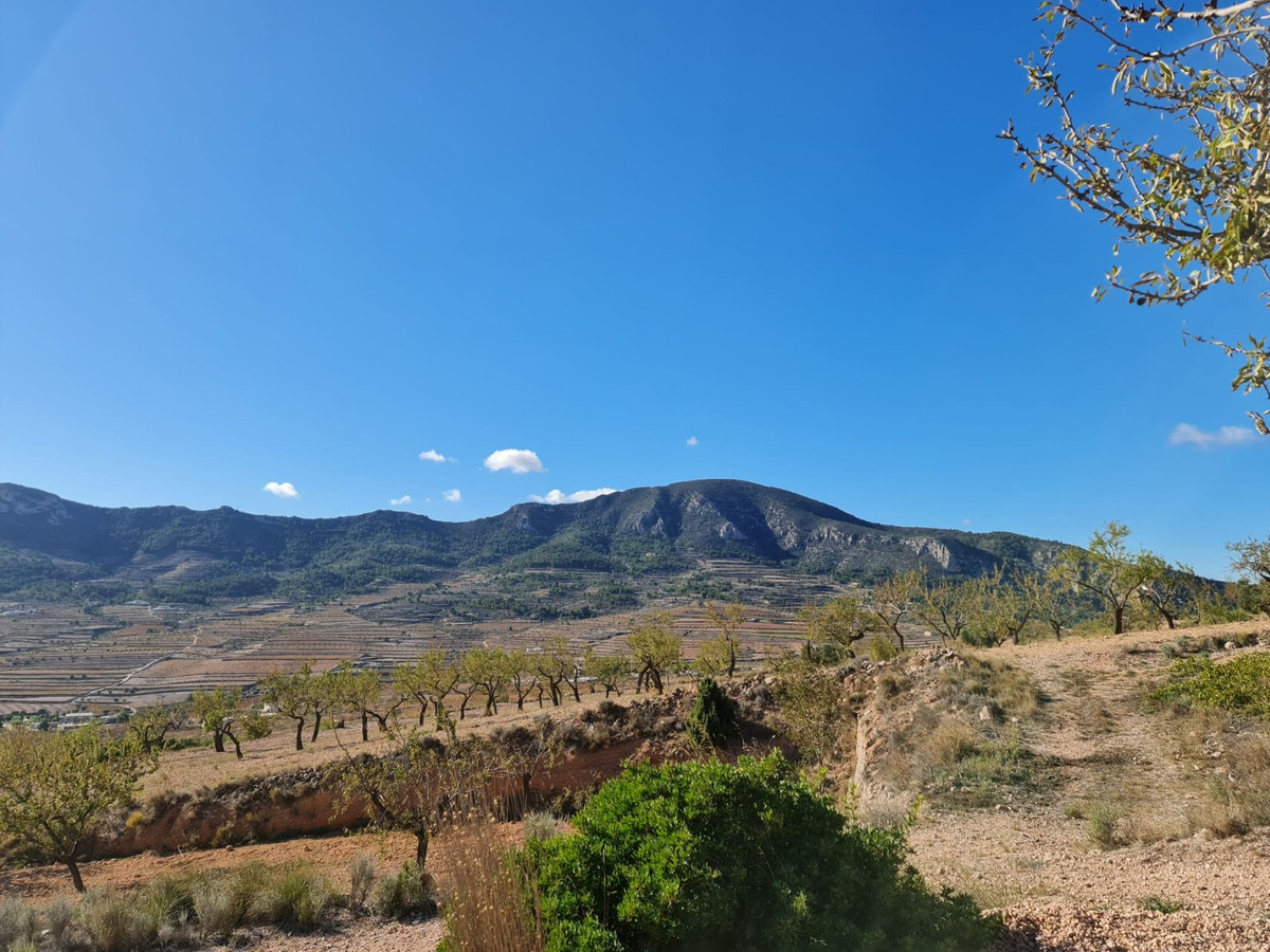 Property main view 12