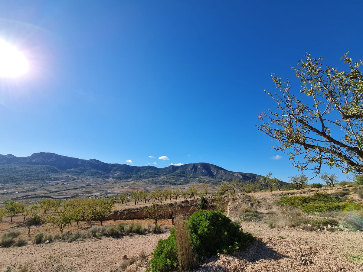 Property main view 6