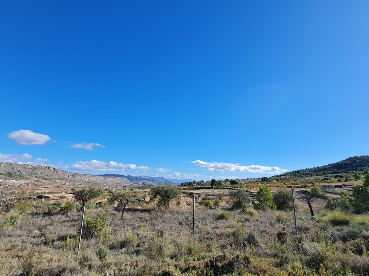Property main view 12