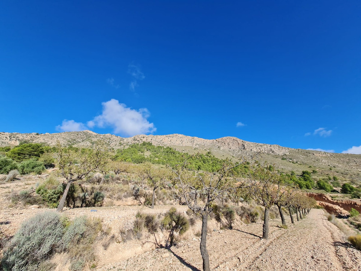 Grond te koop in La Romana | 0 slaapkamers H5510650