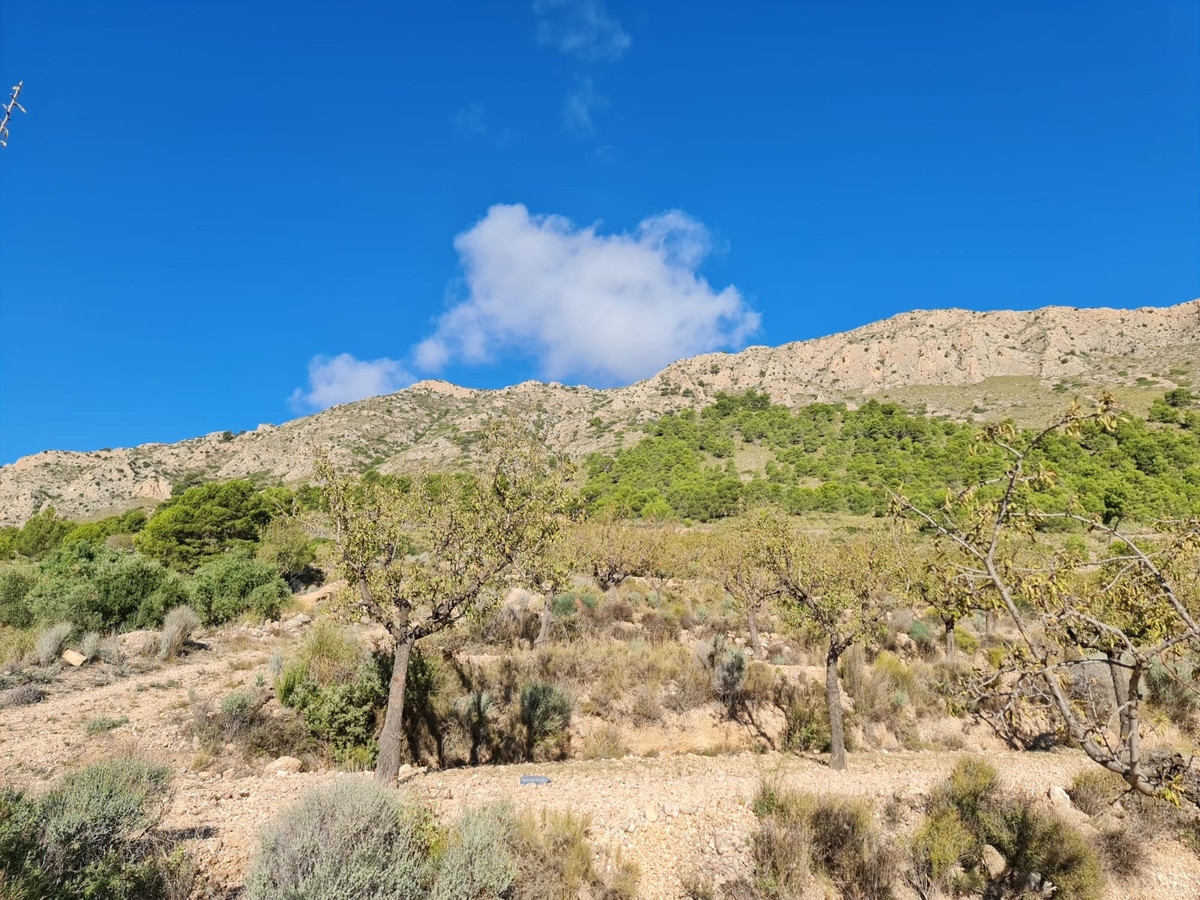 Grond te koop in La Romana | 0 slaapkamers H5510650