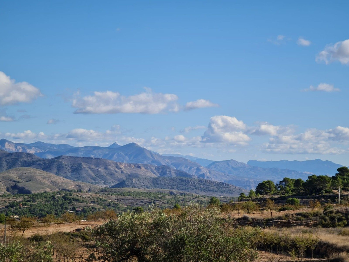 Property main view 15