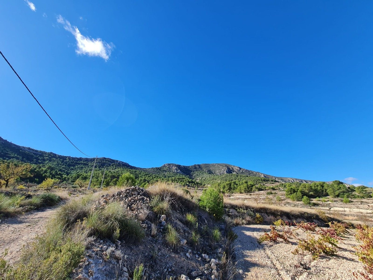 Property main view 8