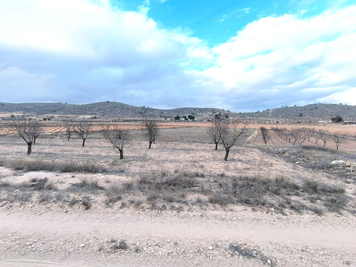 Grond te koop in La Solana | 0 slaapkamers H5257978