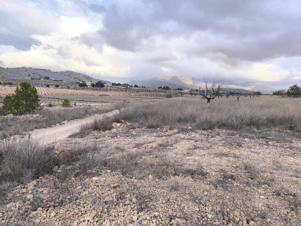 Property main view 3