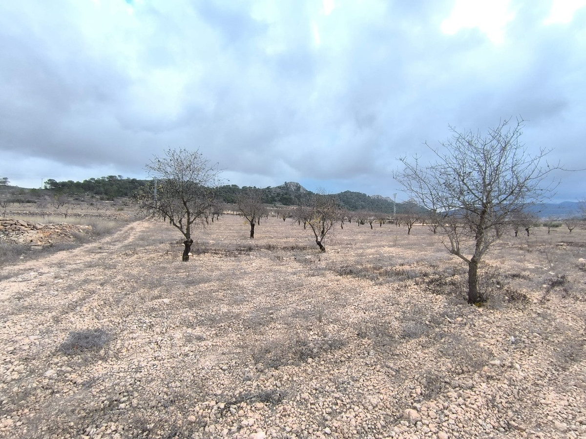 Property main view 4