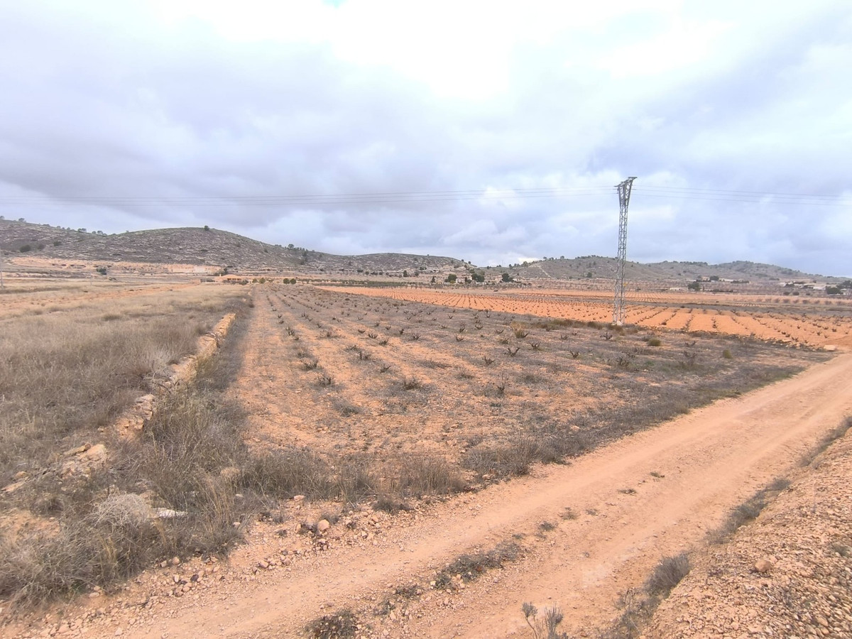 Grond te koop in La Solana | 0 slaapkamers H5257987