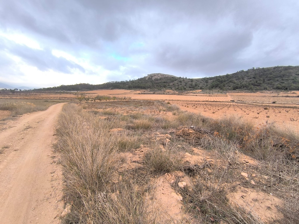 Property main view 2