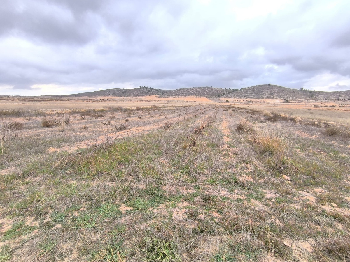 Grond te koop in La Solana | 0 slaapkamers H5508691