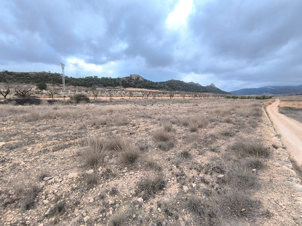 Property main view 3