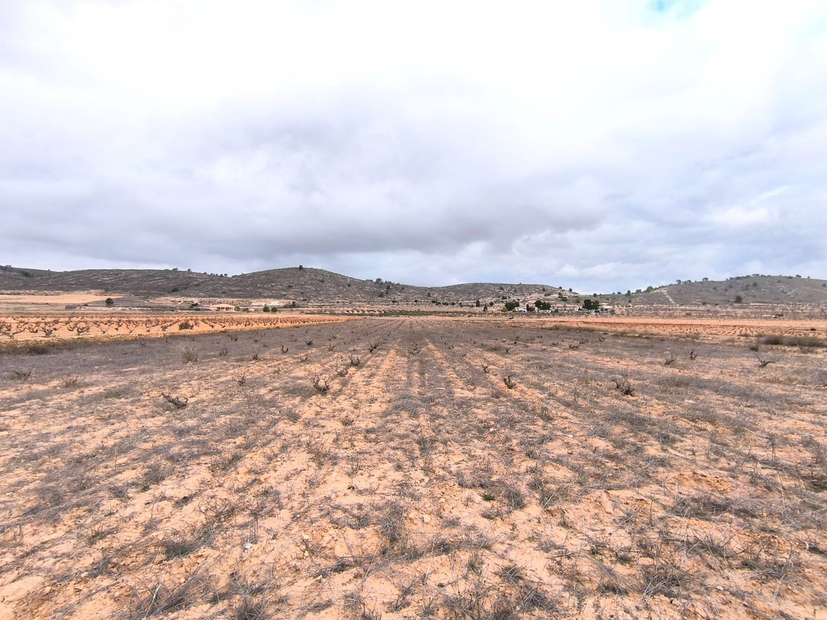 Grond te koop in La Solana | 0 slaapkamers H5509252