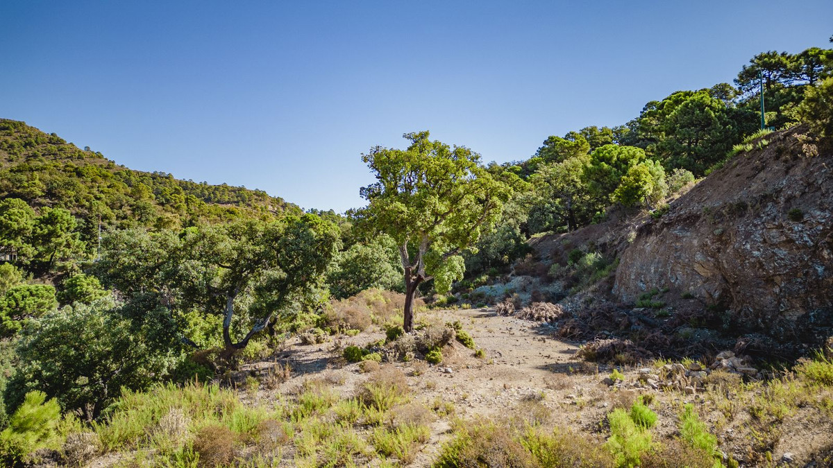 Property main view 8