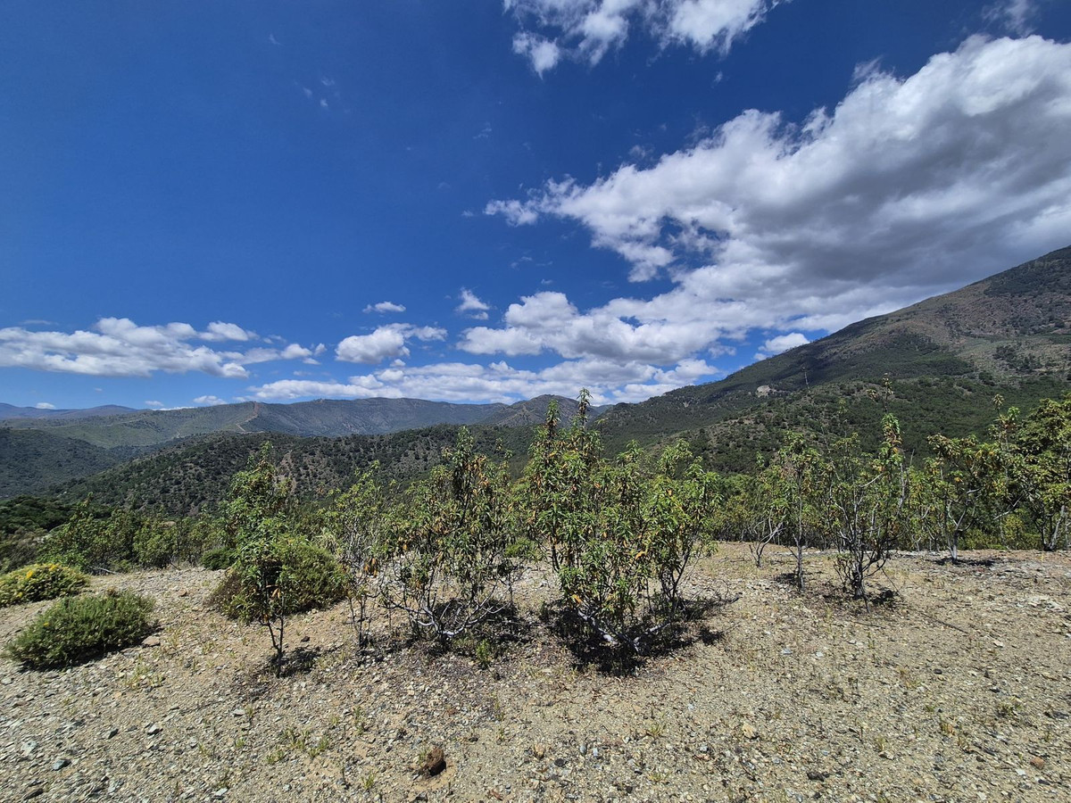 Percelen te koop in La Zagaleta | 0 slaapkamers H5218528