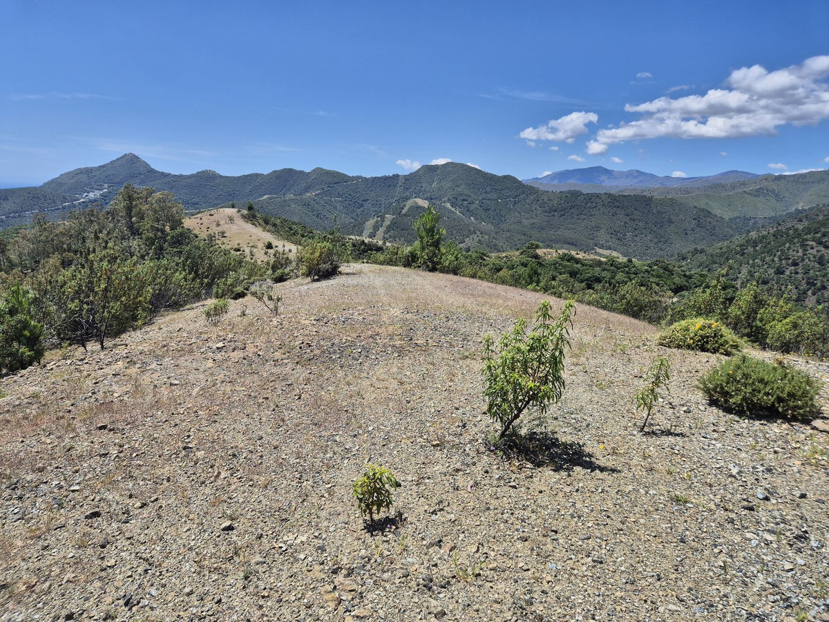 Percelen te koop in La Zagaleta | 0 slaapkamers H5218528