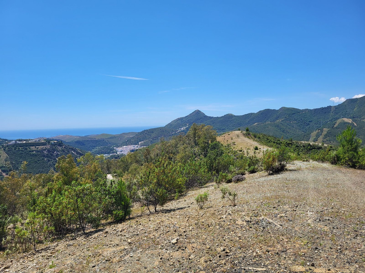 Percelen te koop in La Zagaleta | 0 slaapkamers H5218528