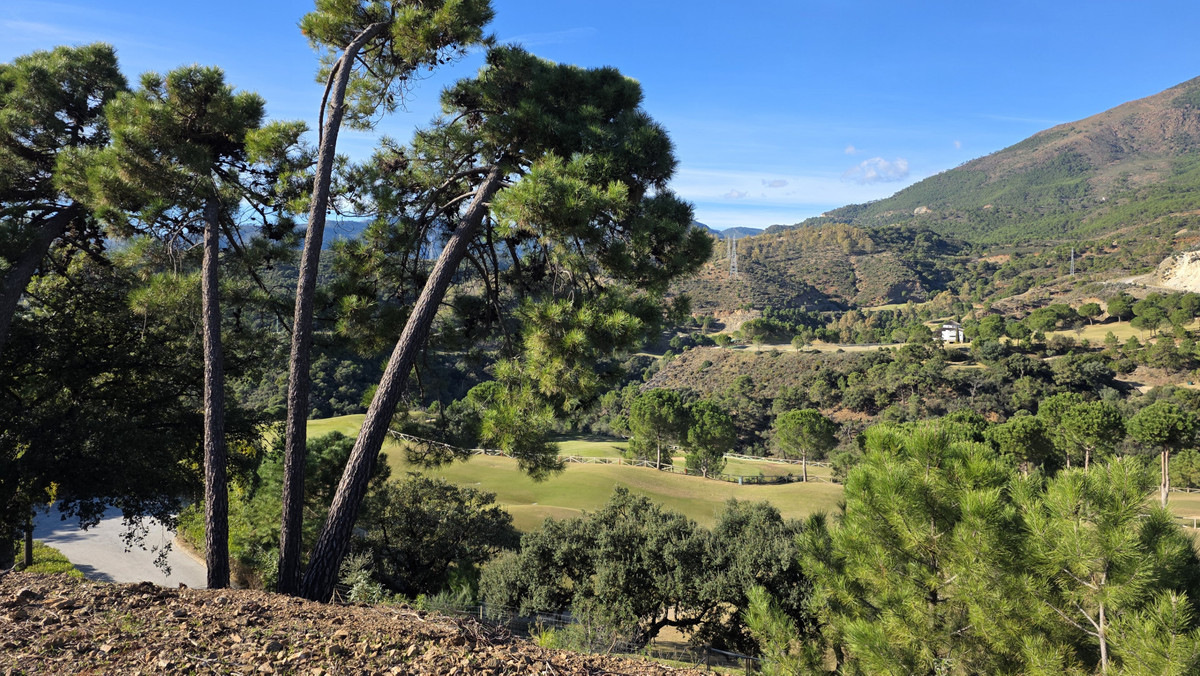 Property main view 3