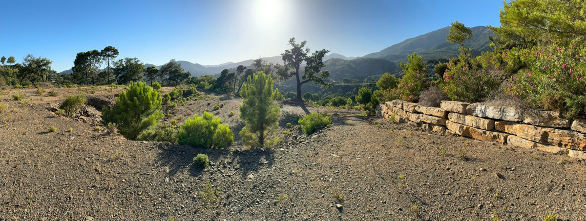 Property main view 38