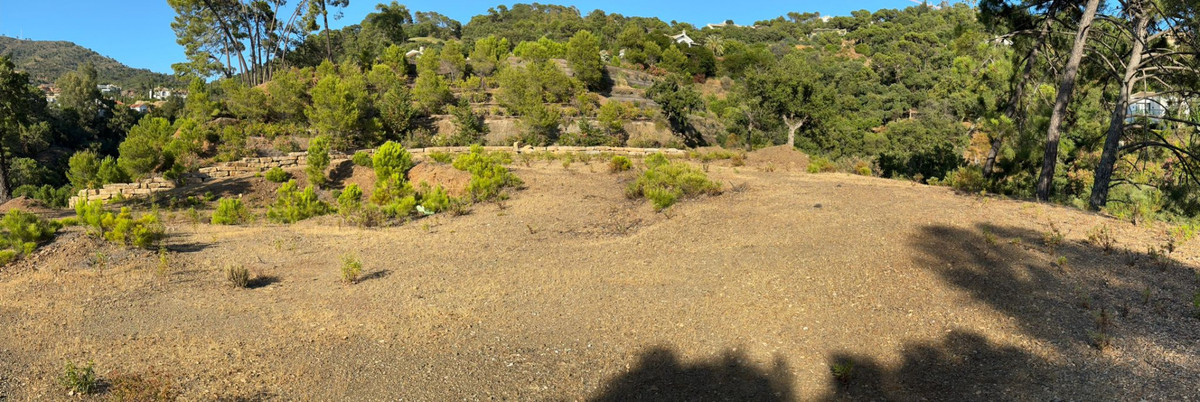 Property main view 41