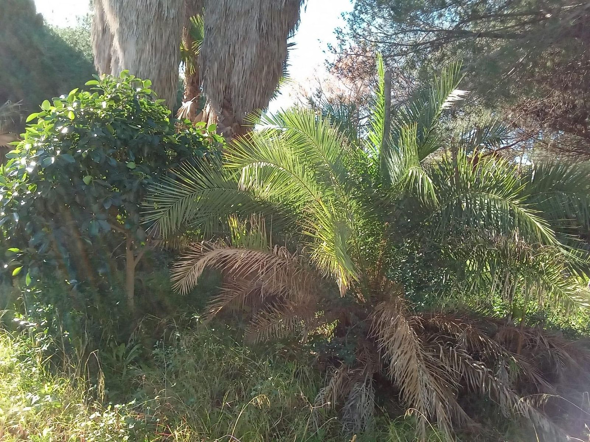 Property main view 10