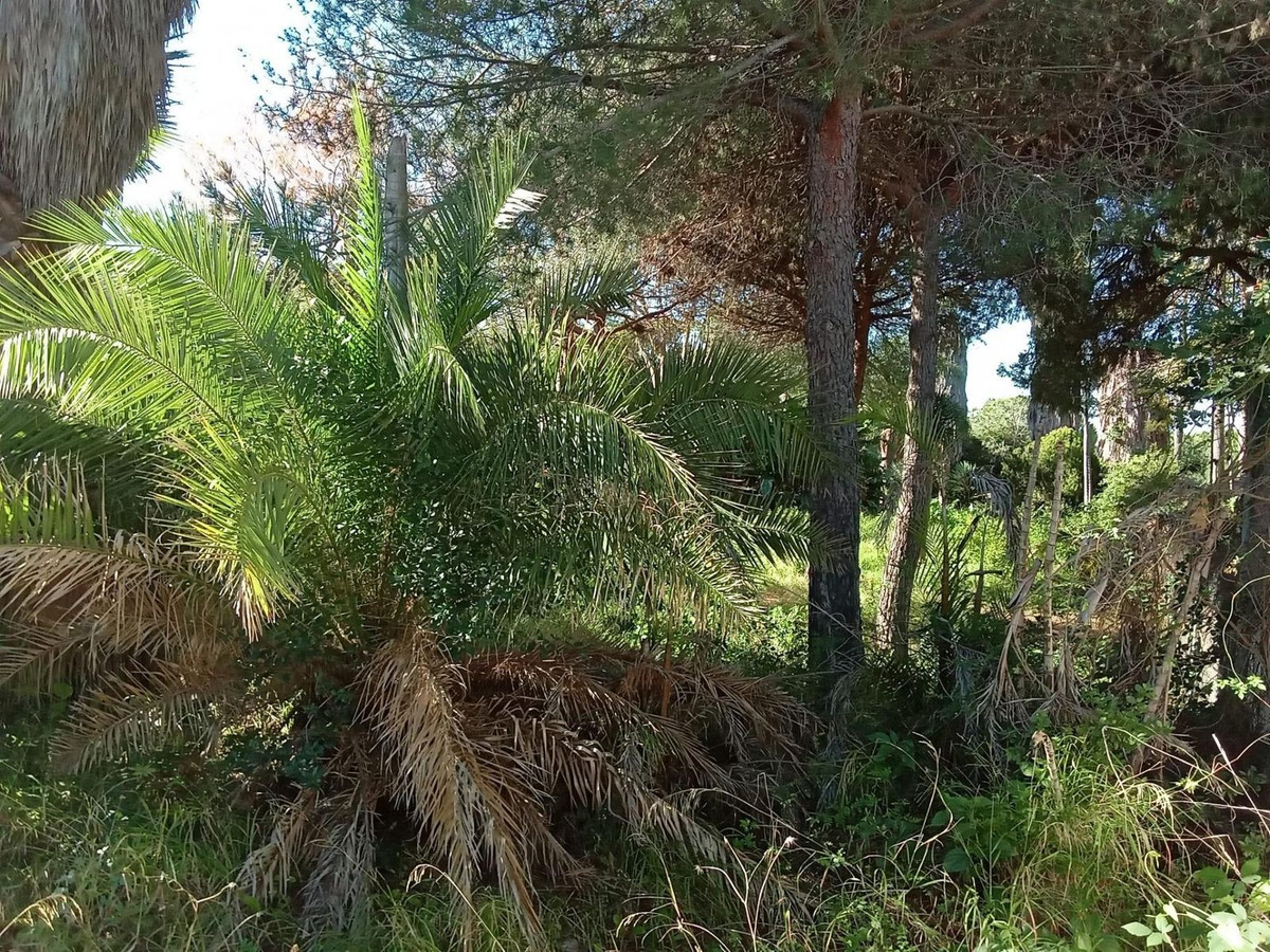 Property main view 14