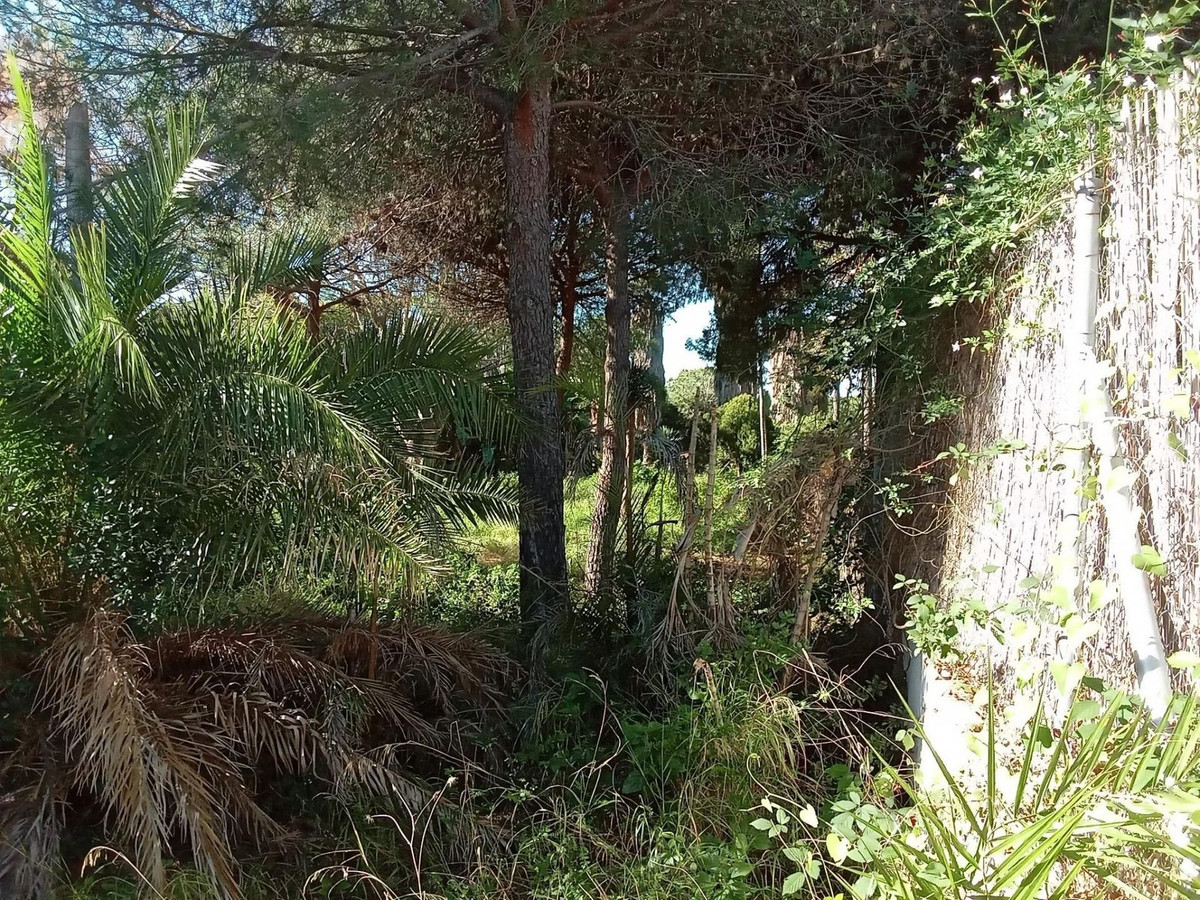 Property main view 15