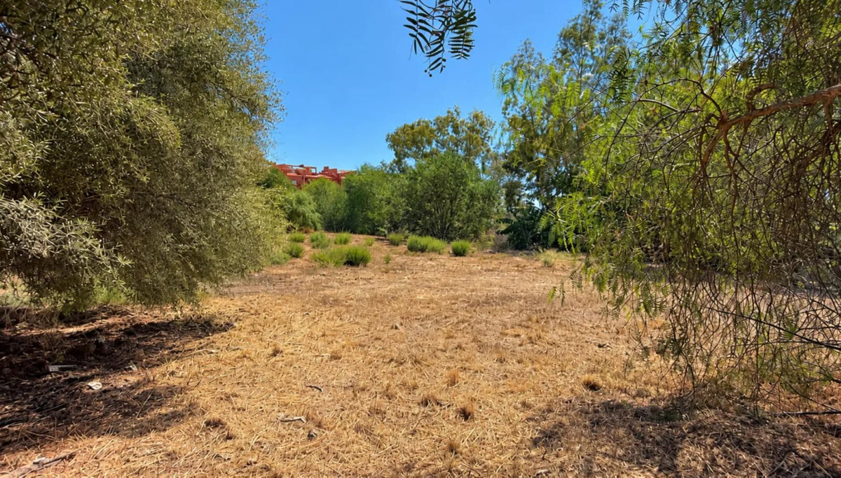 Property main view 2