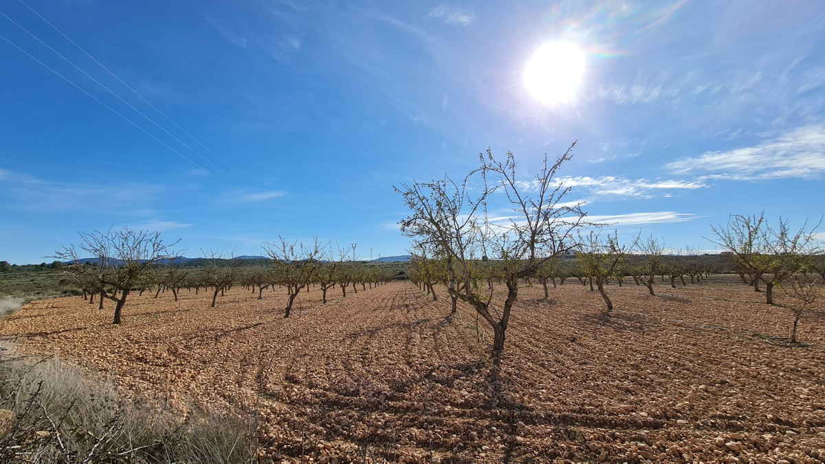 Grond te koop in Lel | 0 slaapkamers H4783663