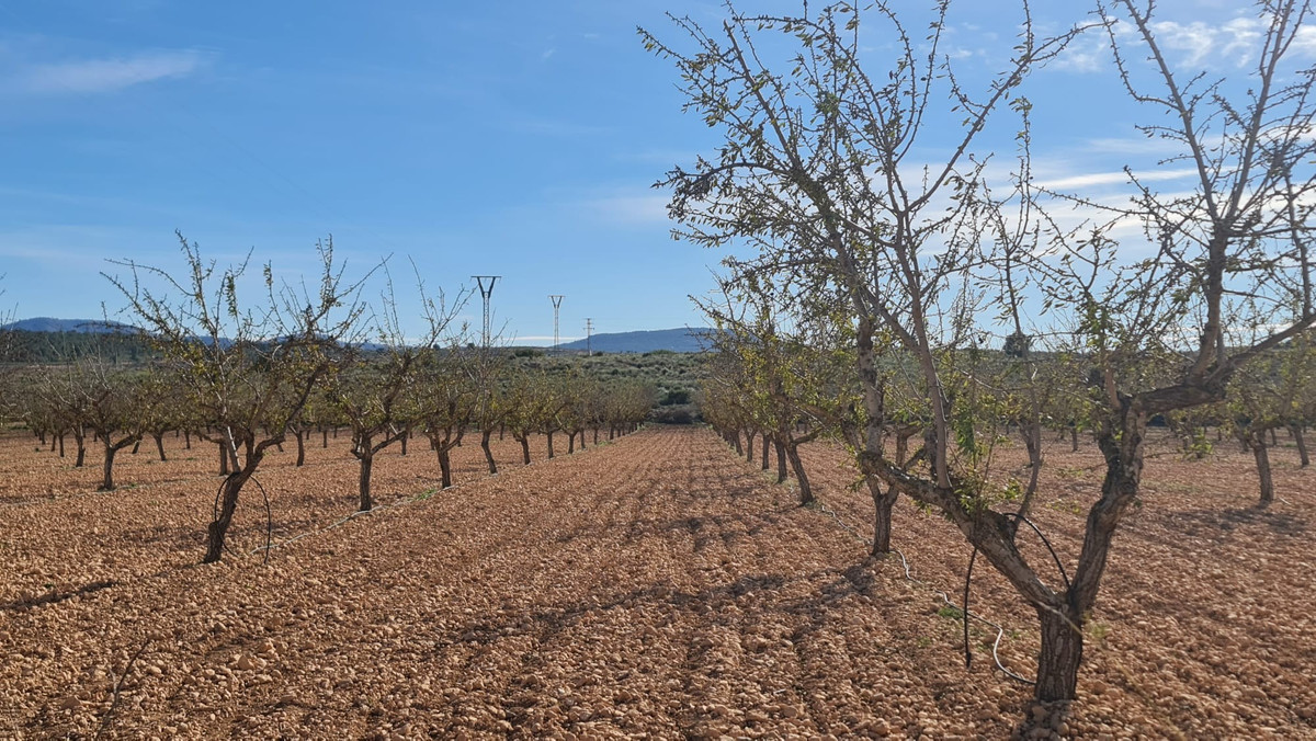 Grond te koop in Lel | 0 slaapkamers H4783663