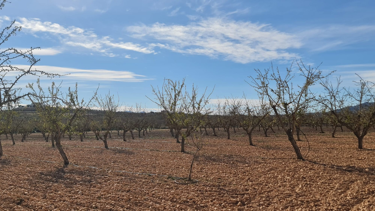 Grond te koop in Lel | 0 slaapkamers H4783663