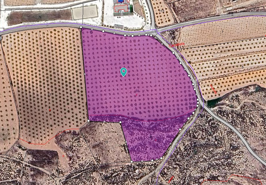 Grond te koop in Lel | 0 slaapkamers H4783663