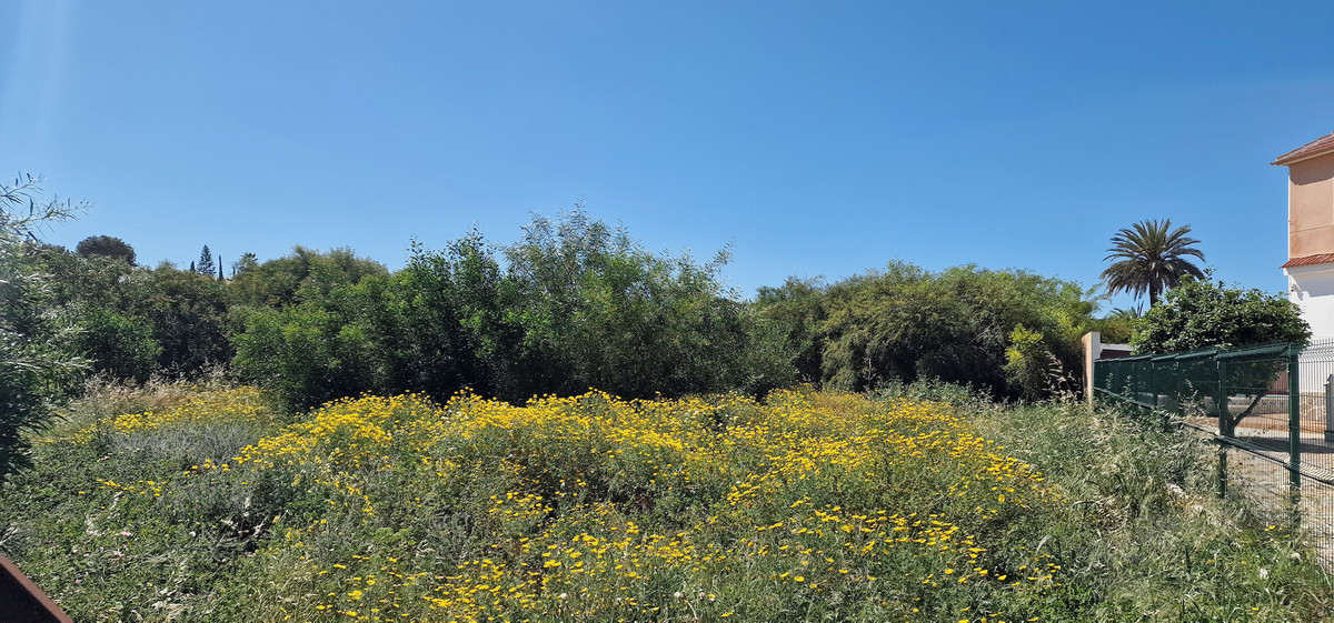 Property main view 4