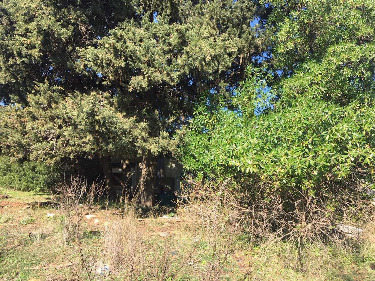 Property main view 10