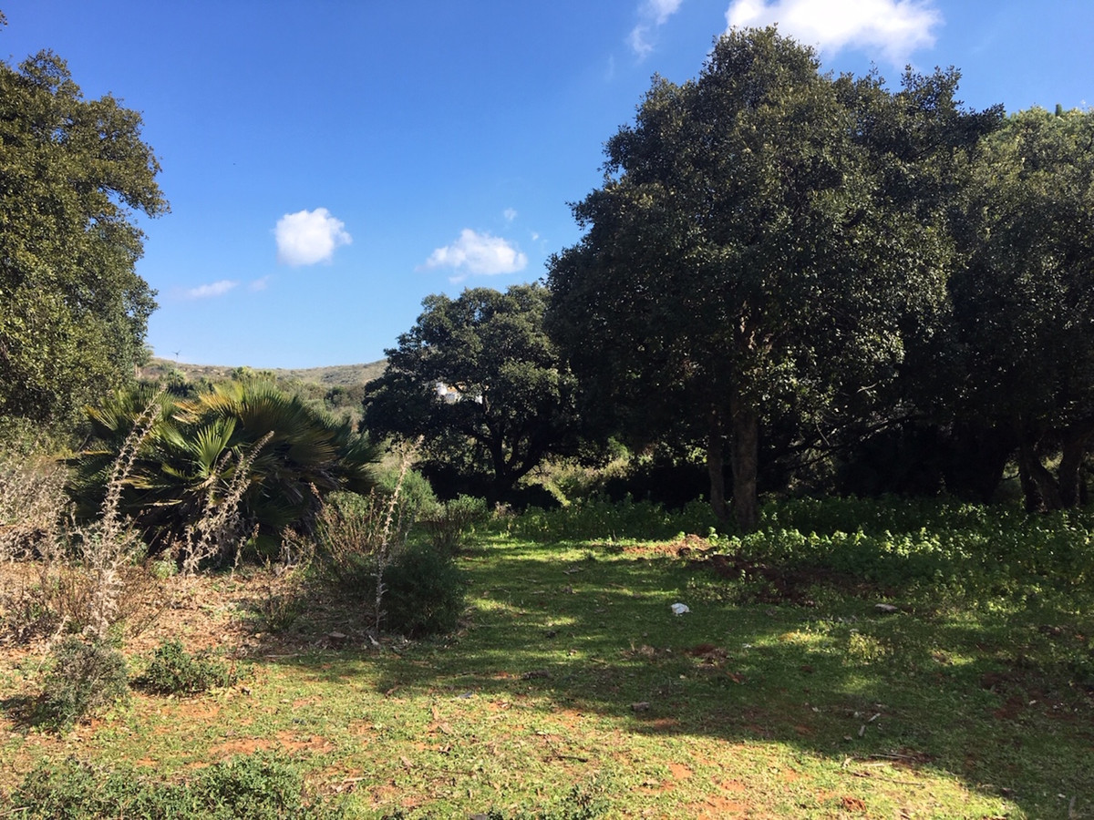 Property main view 12