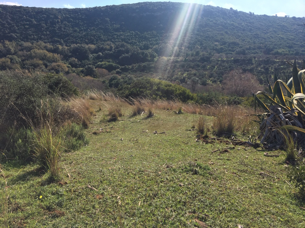 Property main view 13