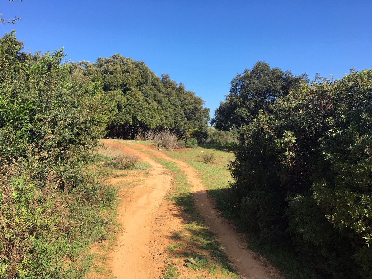 Property main view 14