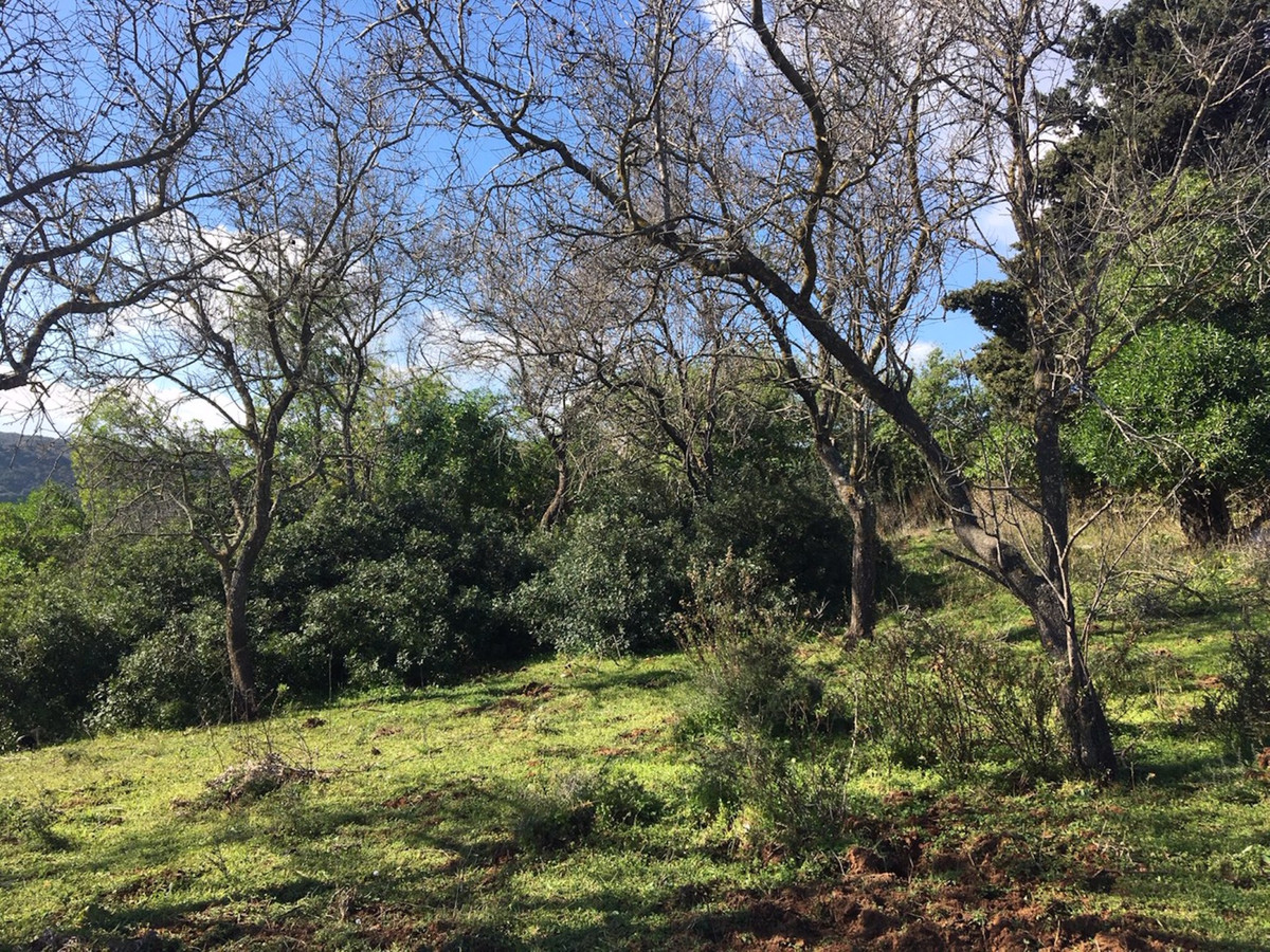 Property main view 16