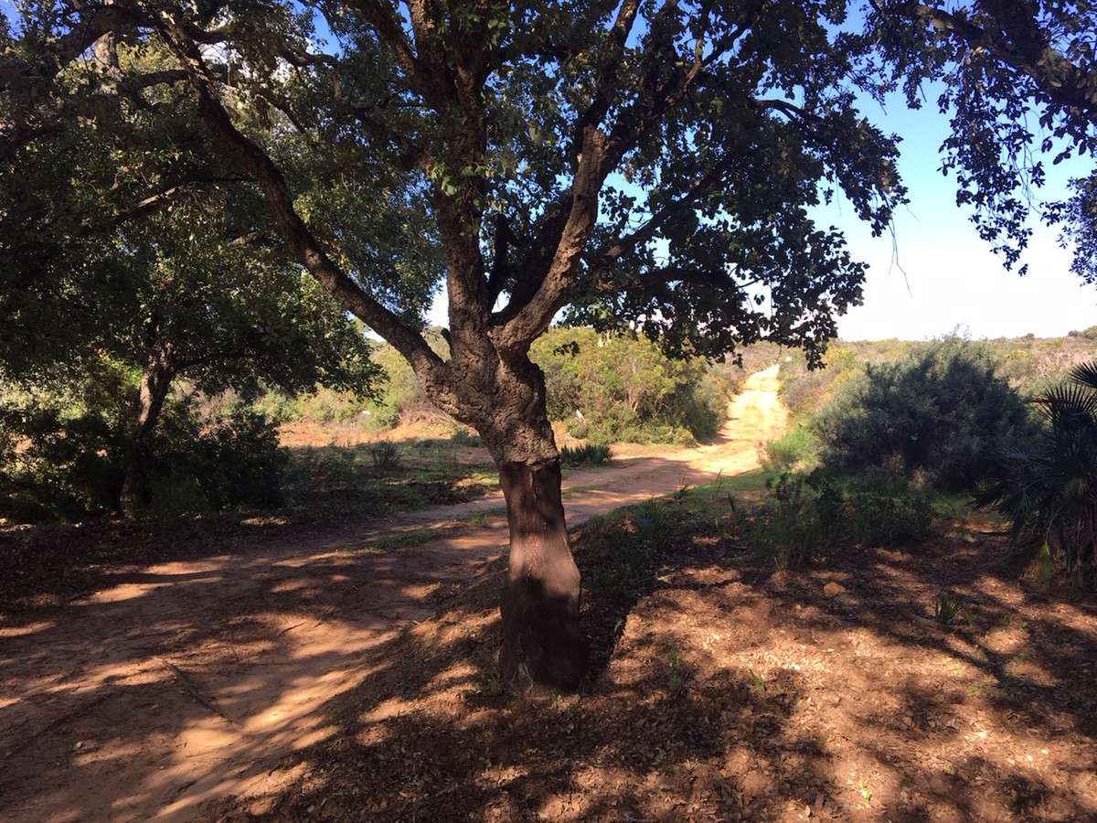 Property main view 18