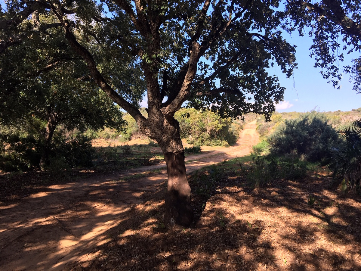 Property main view 20