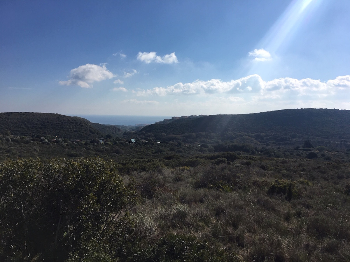 Property main view 21