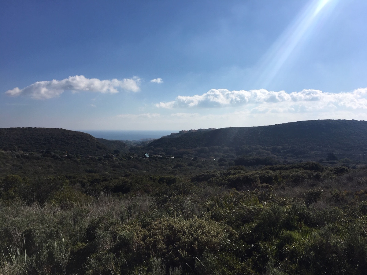 Property main view 23