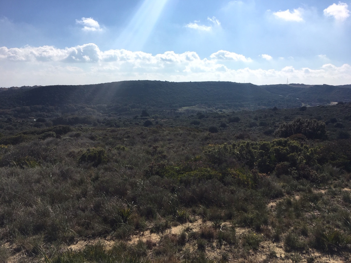 Property main view 24