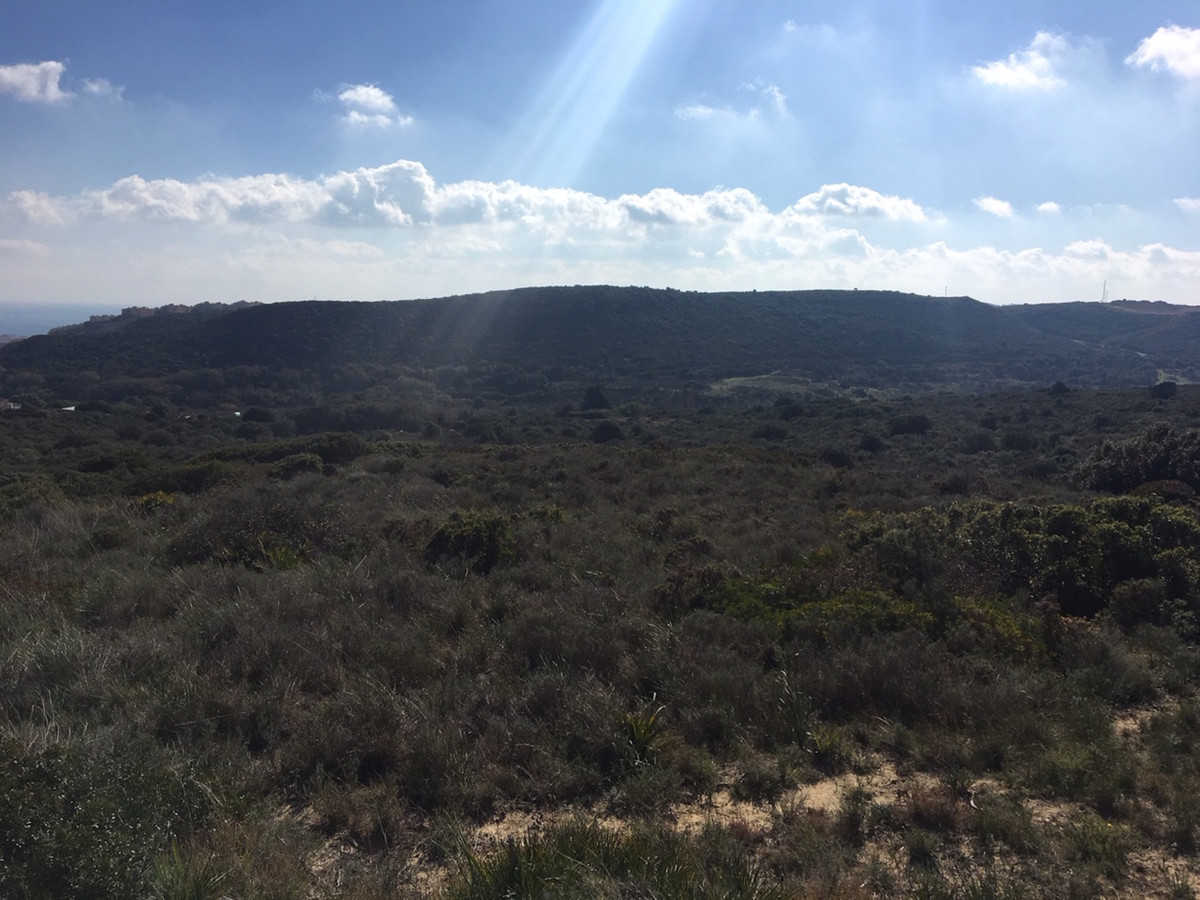 Property main view 26