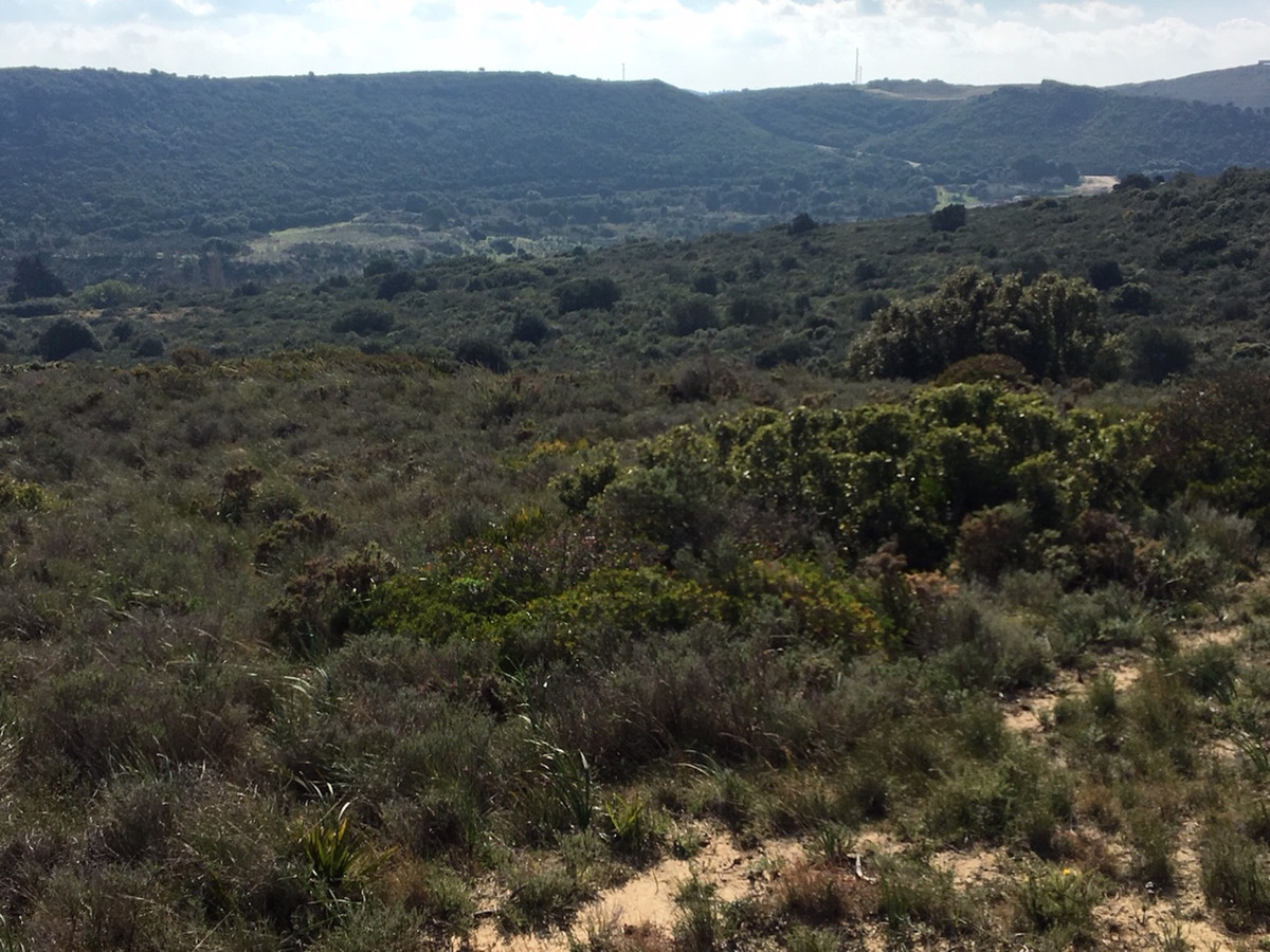 Property main view 27